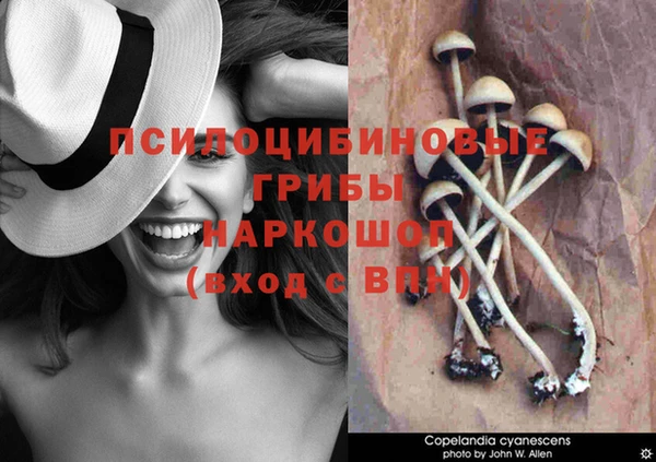 прущая мука Армянск