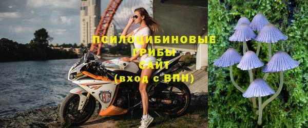 спайс Арсеньев