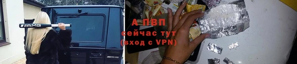 спайс Арсеньев