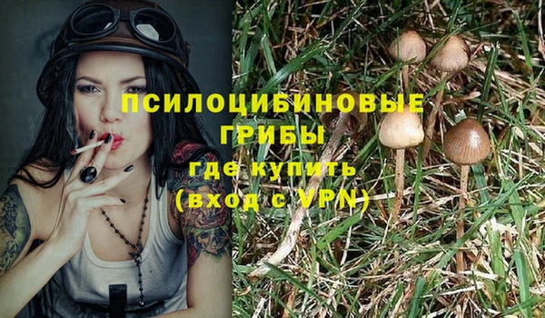 прущая мука Армянск