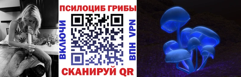 Галлюциногенные грибы прущие грибы  OMG маркетплейс  Кунгур 